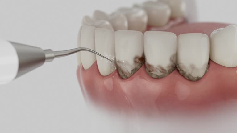 Reliable Dental contractor in Ridgely, MD by Dentist Open Now